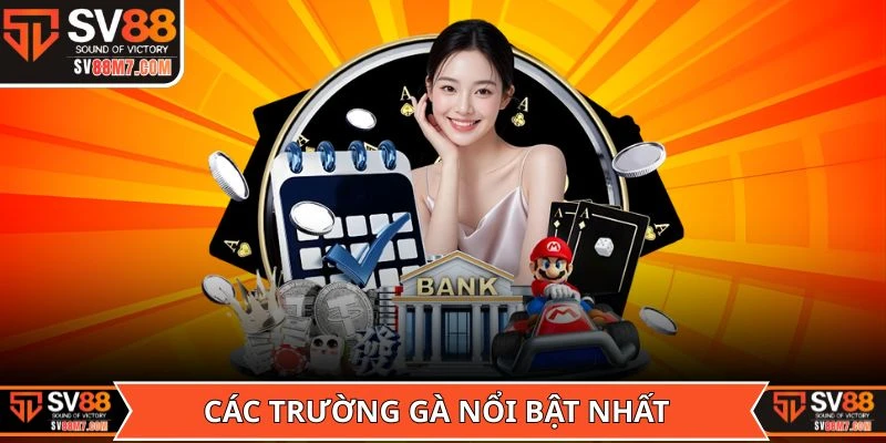 Các trường gà nổi bật đang hợp tác với sảnh Đá Gà SV88